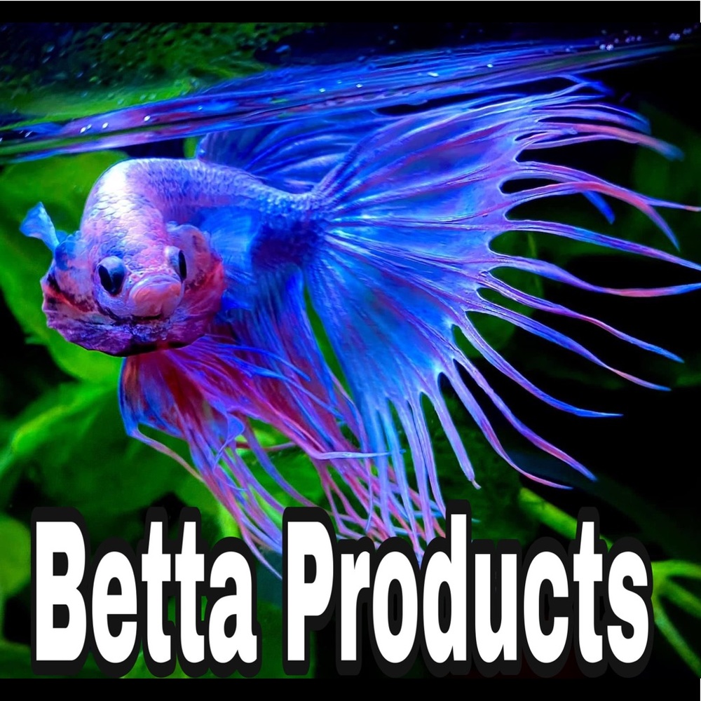 Betta Fish peek a boo spring package
